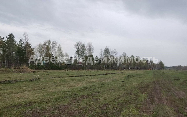 Участок 12.16 сот.