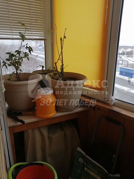 Квартира 1-комн., 66.8 м²