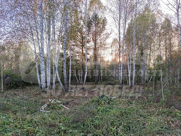 Участок, 10 сот.