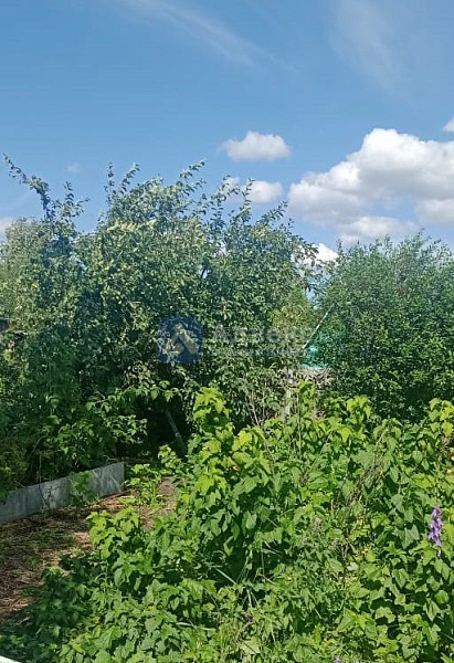 Участок 13.5 сот.