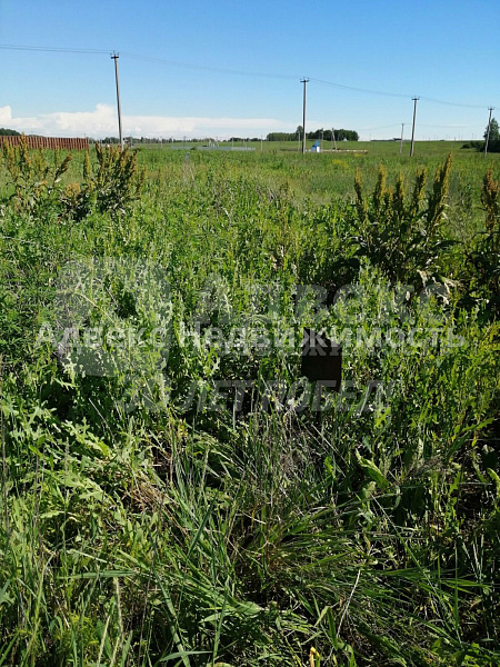 Участок 8.36 сот.