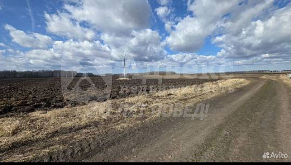 Участок, 300 сот.
