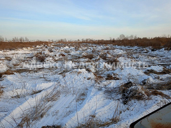 Участок 220 сот.