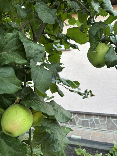 Дача/Коттедж, 91.9 кв.м.