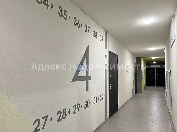 Квартира студия, 23.7 м² Квартира студия, 23.7 м²
