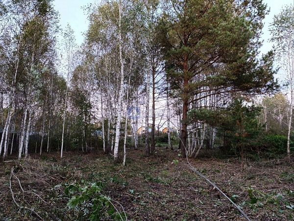 Участок 10 сот.