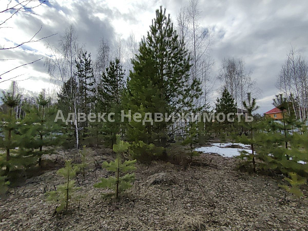 Участок 14.5 сот.
