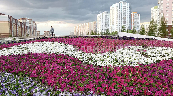 2-к квартира, 66 кв.м.