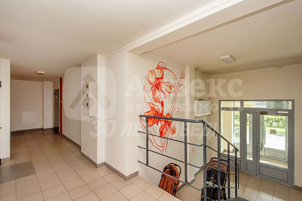 Квартира студия, 24.1 м²