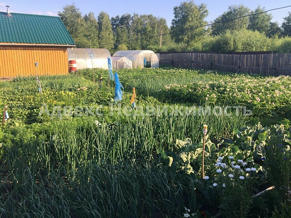 Дача/Коттедж, 49 кв.м.