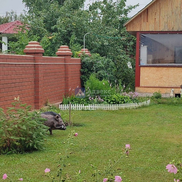 Коттедж 240 м²