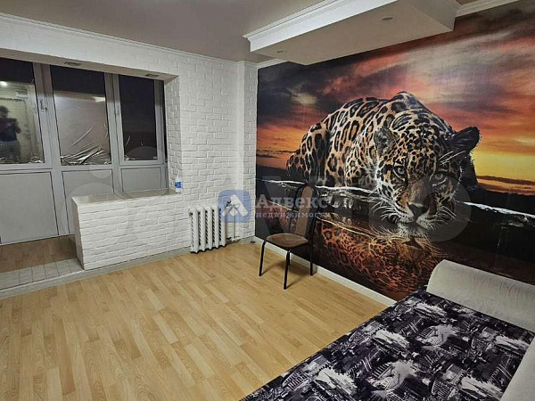 Квартира студия, 17.5 м²