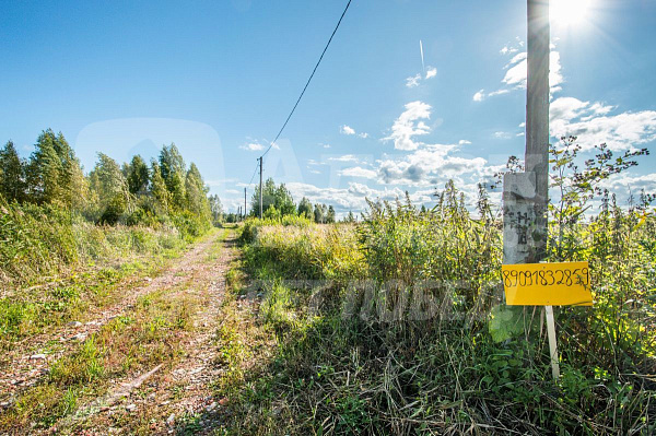 Участок, 10 сот.