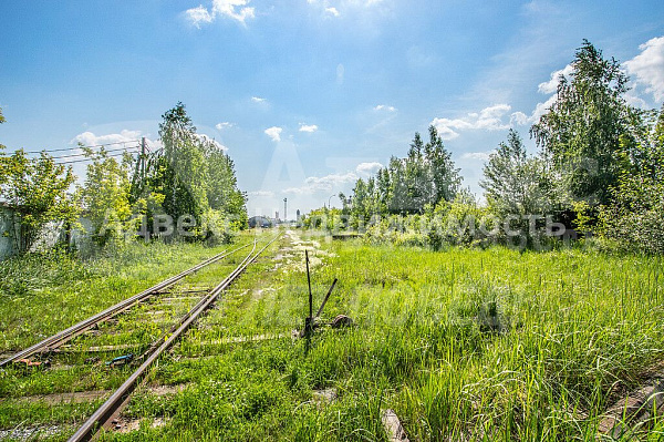 Коммерческая земля 63.6 сот.