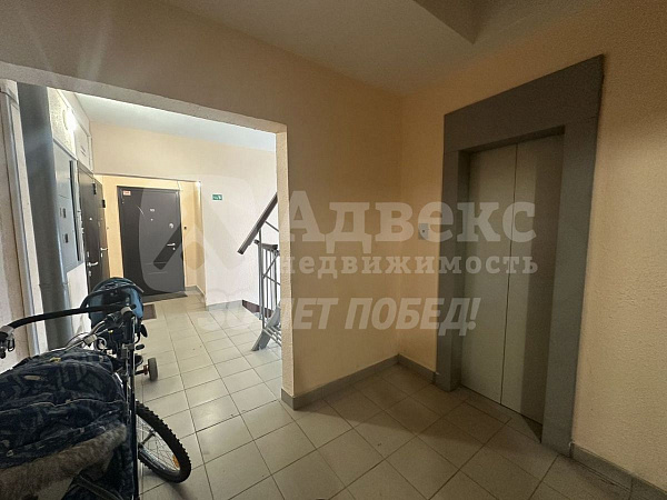 3-к квартира, 66 кв.м.