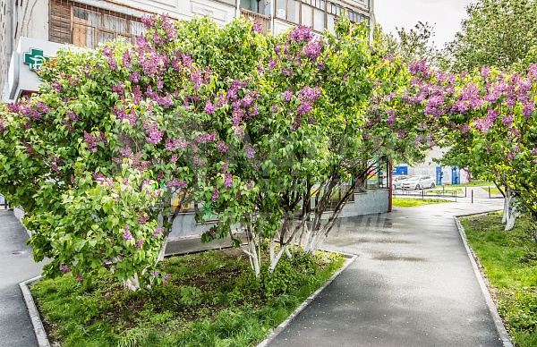 Квартира 2-комн., 50.4 м²