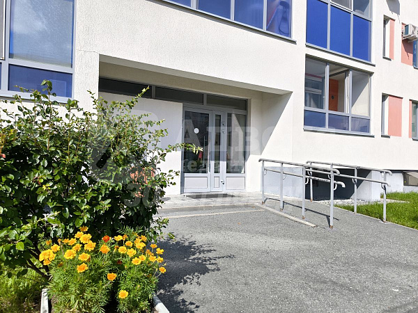 Квартира студия, 24.1 м²