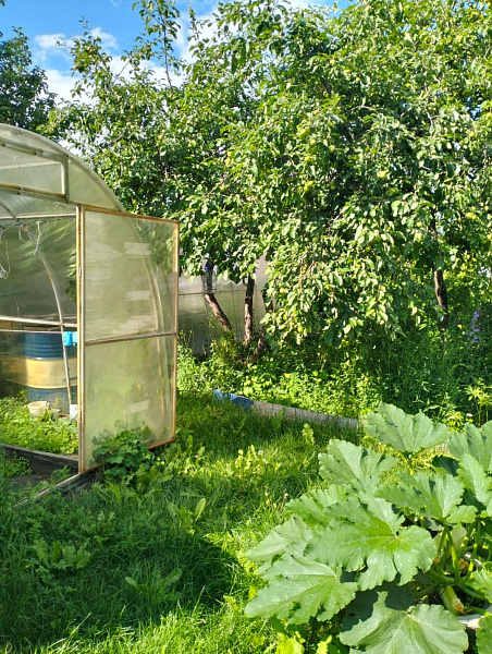 Дача/Коттедж, 35.1 кв.м.