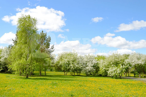 Квартира 2-комн., 66 м²