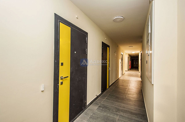 Квартира 1-комн., 35.3 м²