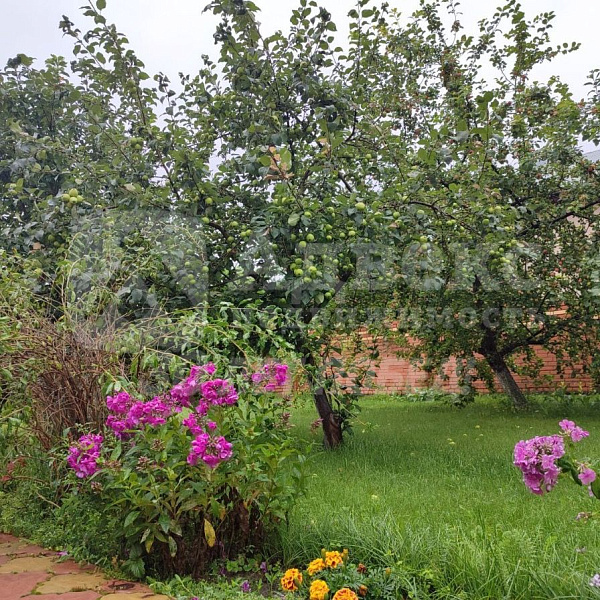 Коттедж 240 м²