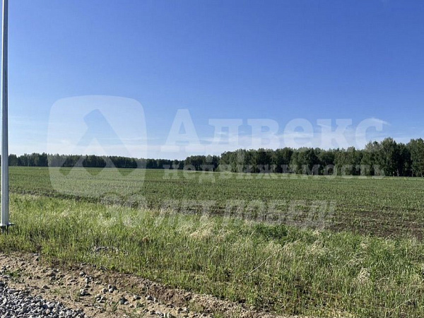 Участок 30 сот.