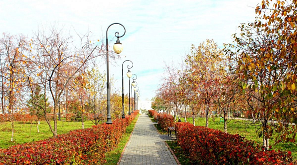 Квартира 1-комн., 33.8 м²