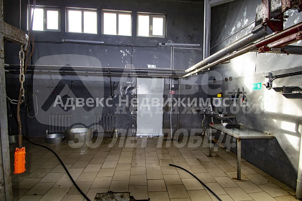 Бизнес-центр, 127 кв.м.