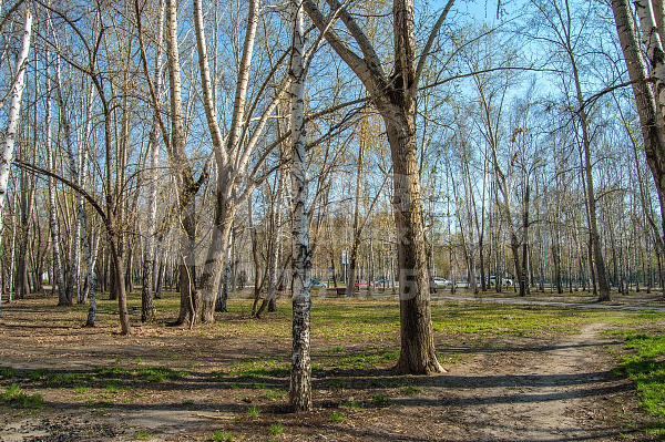 Квартира 1-комн., 28.4 м²