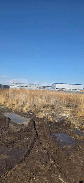 Коммерческая земля 55 сот.