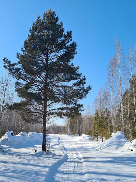 Участок, 5.83 сот. Участок, 5.83 сот.