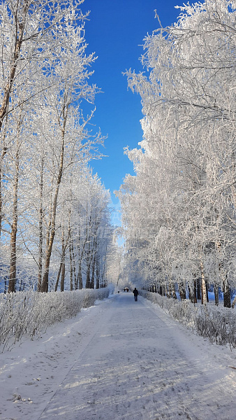 2-к квартира, 83 кв.м.