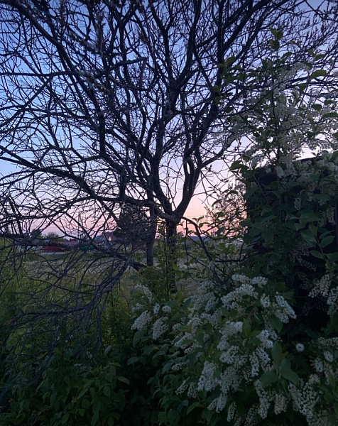 Участок, 14.29 сот.