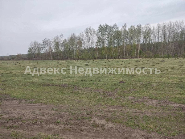 Участок 12.16 сот.