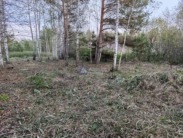 Участок 10 сот.