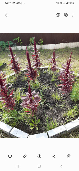 Участок, 4 сот.