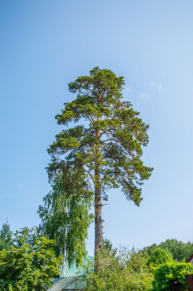 Дом 30 м²