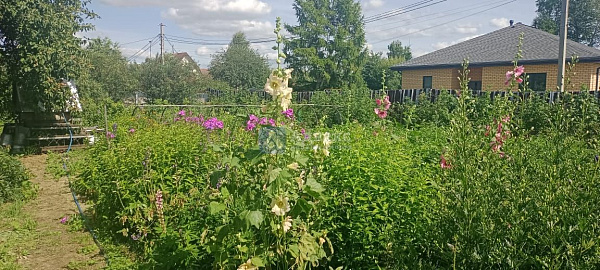 Участок 13.5 сот.