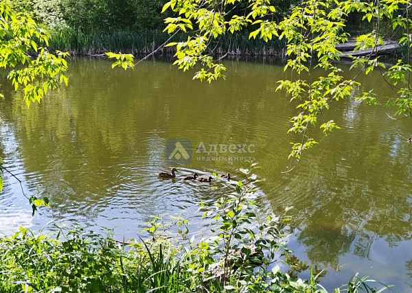 Участок 19.28 сот.