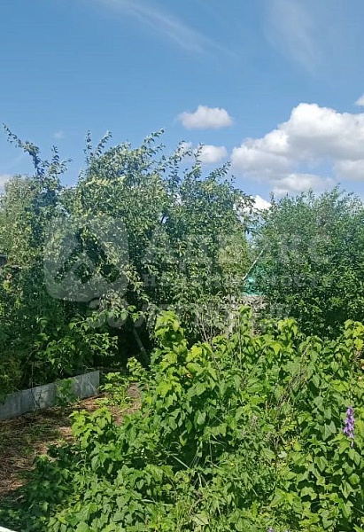 Участок 7 сот. 