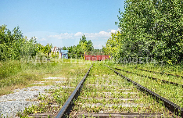 Коммерческая земля 63.6 сот.