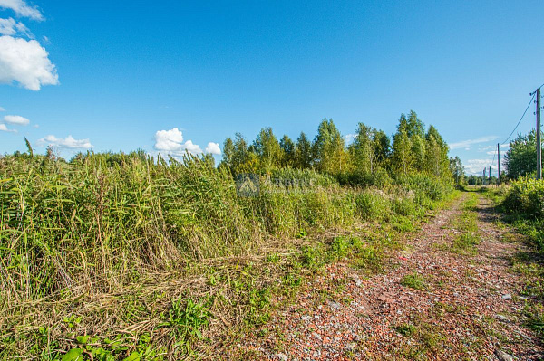 Участок, 10 сот. Участок, 10 сот.