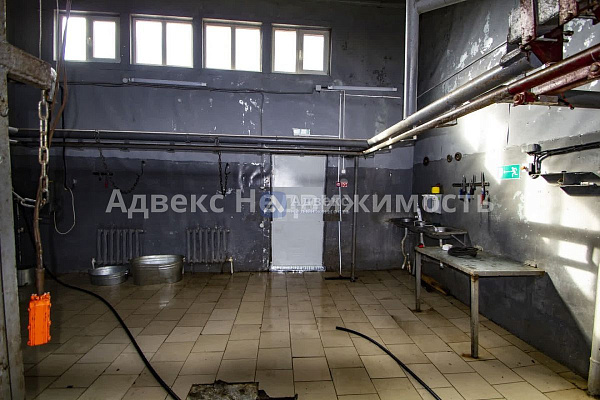 Бизнес-центр, 127 кв.м. Бизнес-центр, 127 кв.м.