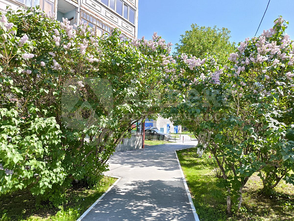 Квартира 2-комн., 50.4 м²