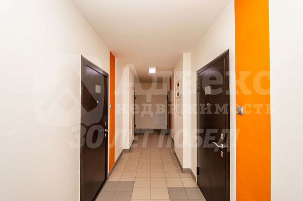 Студия, 24 кв.м.