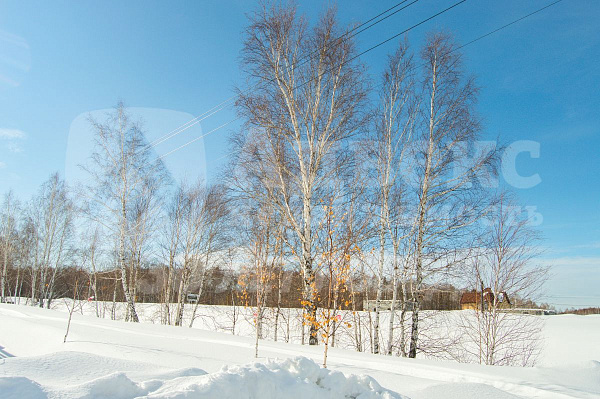 Участок, 10 сот.