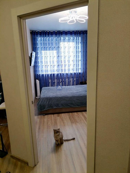 Квартира 1-комн., 35.1 м²