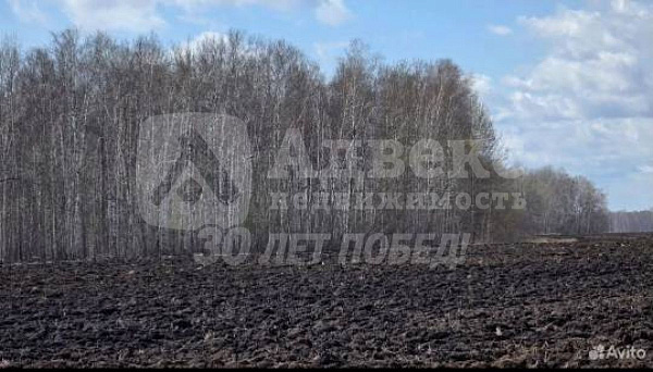 Участок, 300 сот.