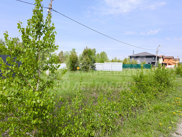 Участок 1017 сот.