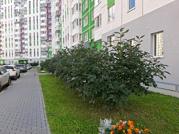 Квартира 2-комн., 67.4 м²